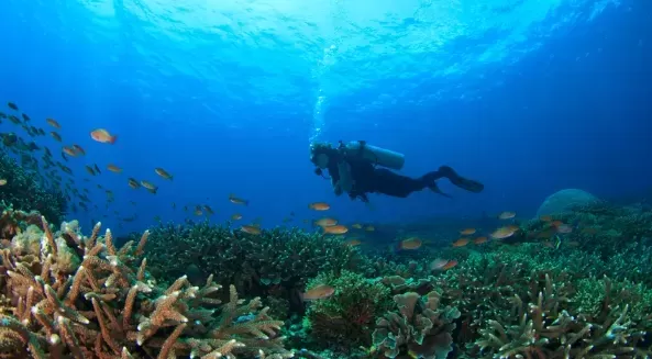 Unleash Your Potential: Skill-Based Vacations for Mind and Body