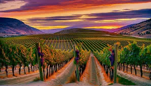 Discovering the Okanagan Valley: A Gem in British Columbia, Canada