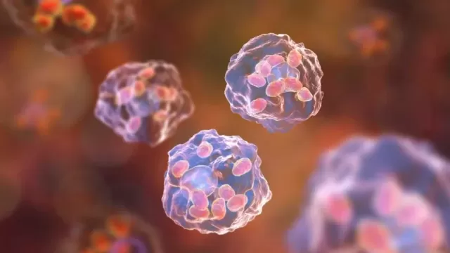 New Study Reveals Cells' Age Can Fluctuate Daily, Redefining Biological Age Assessments