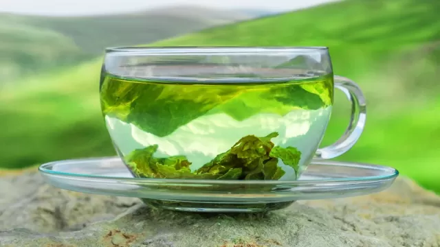 What Happens to Your Body When You Drink Green Tea