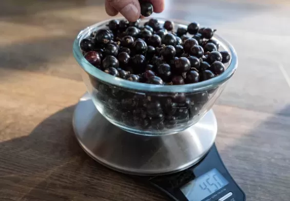 Unlocking the Power of Black Currants: A Tiny Berry with Big Benefits