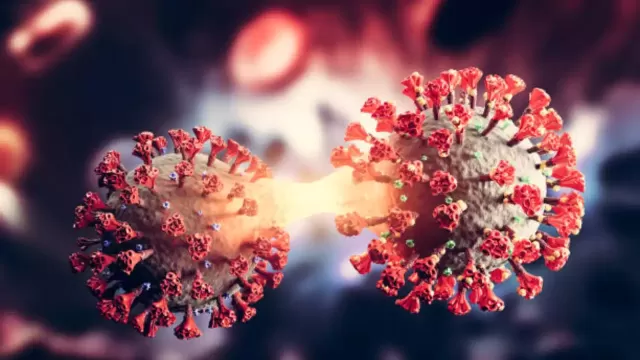 Monitoring the BA.2.86 Variant: Insights into the Latest Developments and Global Impact